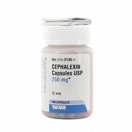 Cephalexin
